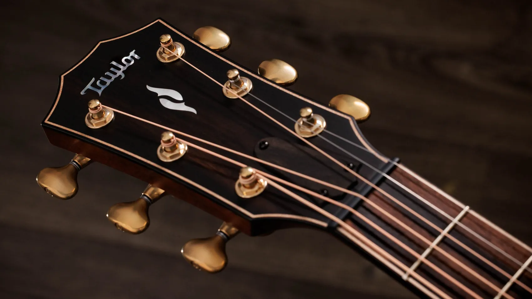 Next Generation Builder's Edition 814ce Indian Rosewood/Adirondack