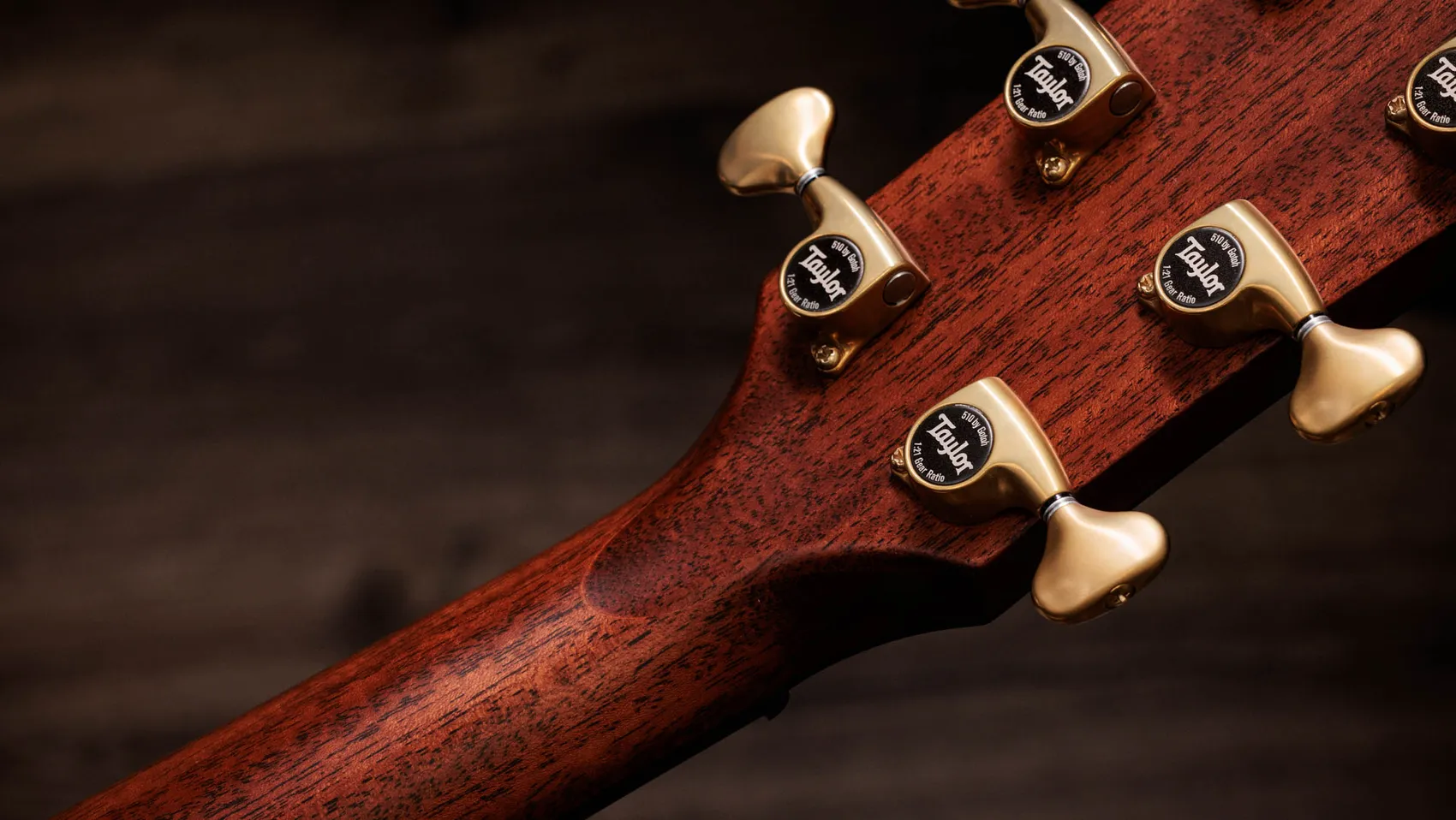 Next Generation Builder's Edition 814ce Indian Rosewood/Adirondack