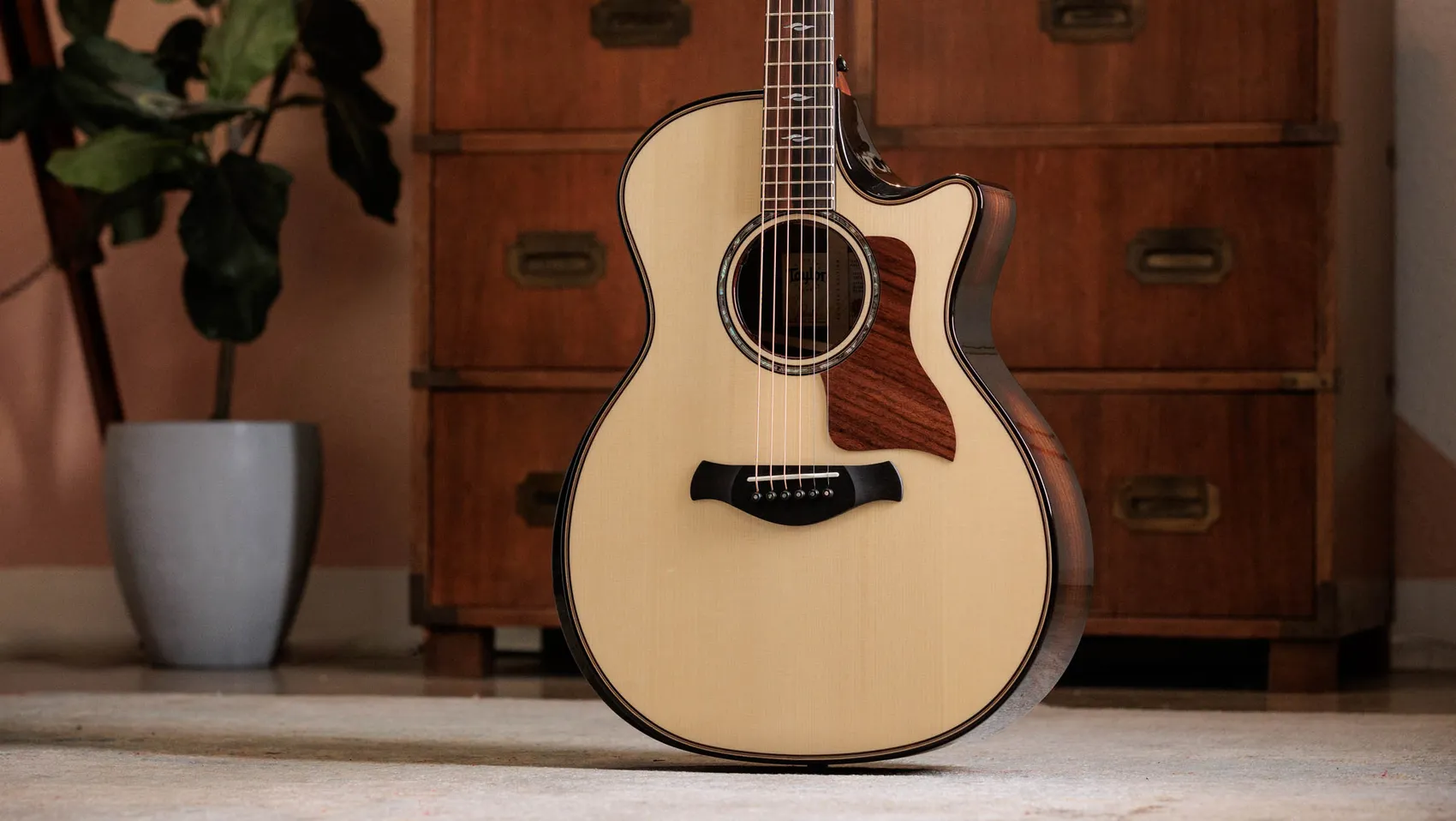 Next Generation Builder's Edition 814ce Indian Rosewood/Adirondack