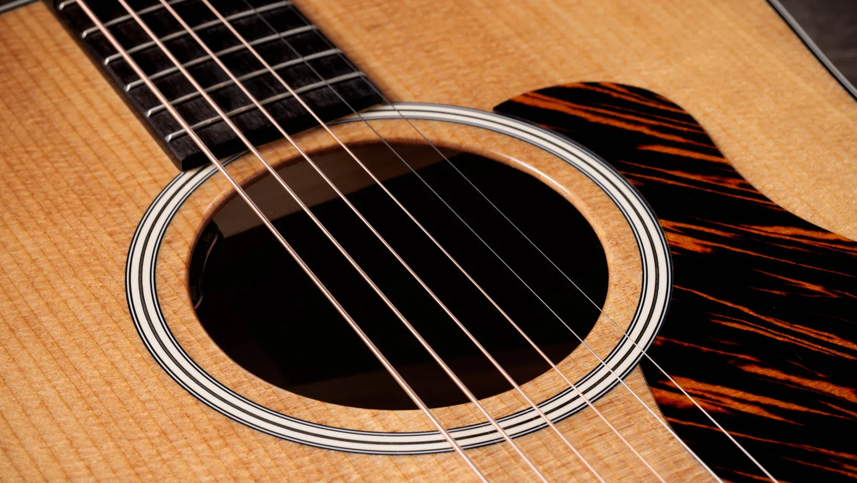 Gold Label 510e Acoustic-Electric Guitar | Taylor Guitars
