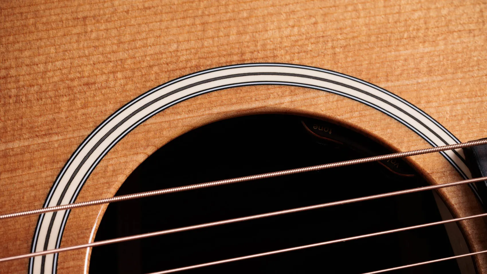 Gold Label 710e Indian Rosewood Acoustic-Electric Guitar (2026