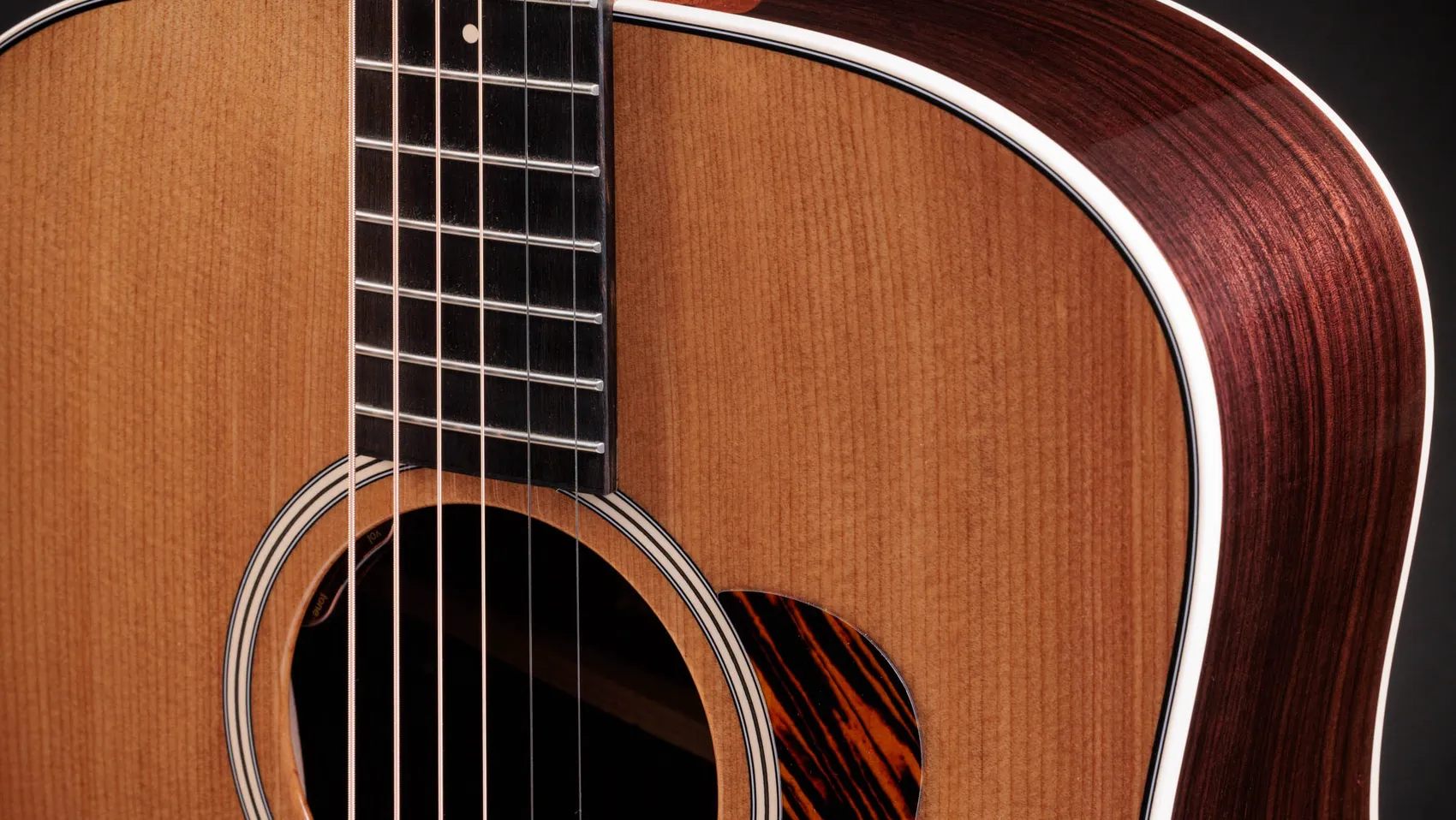 Gold Label 710e Indian Rosewood Acoustic-Electric Guitar | Taylor