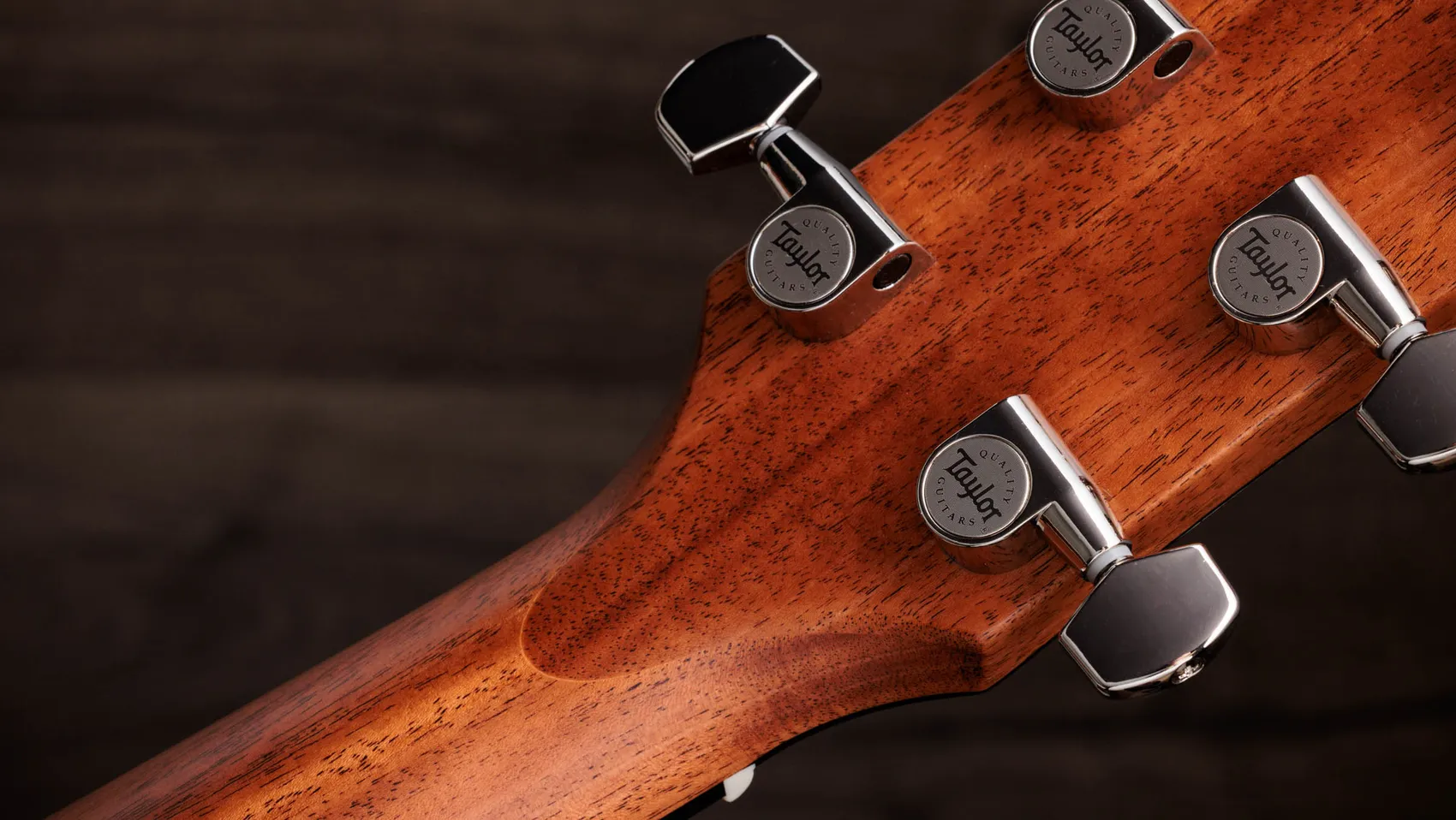 Gold Label 710e Indian Rosewood Acoustic-Electric Guitar | Taylor