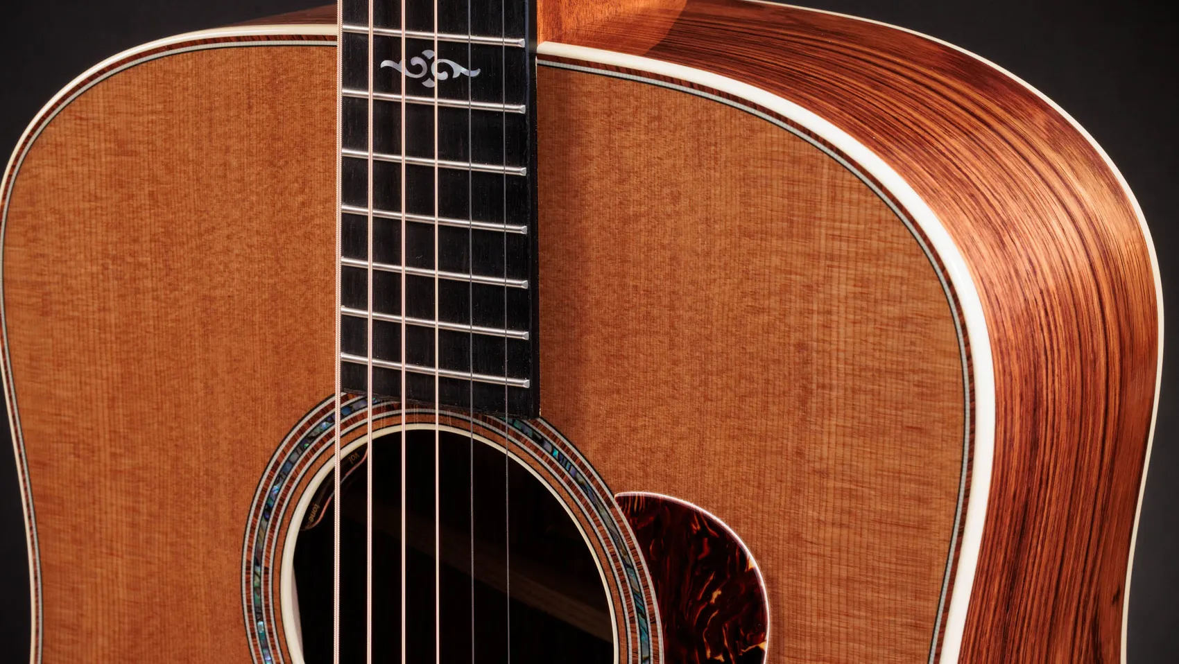Gold Label 810e Honduran Rosewood Acoustic-Electric Guitar