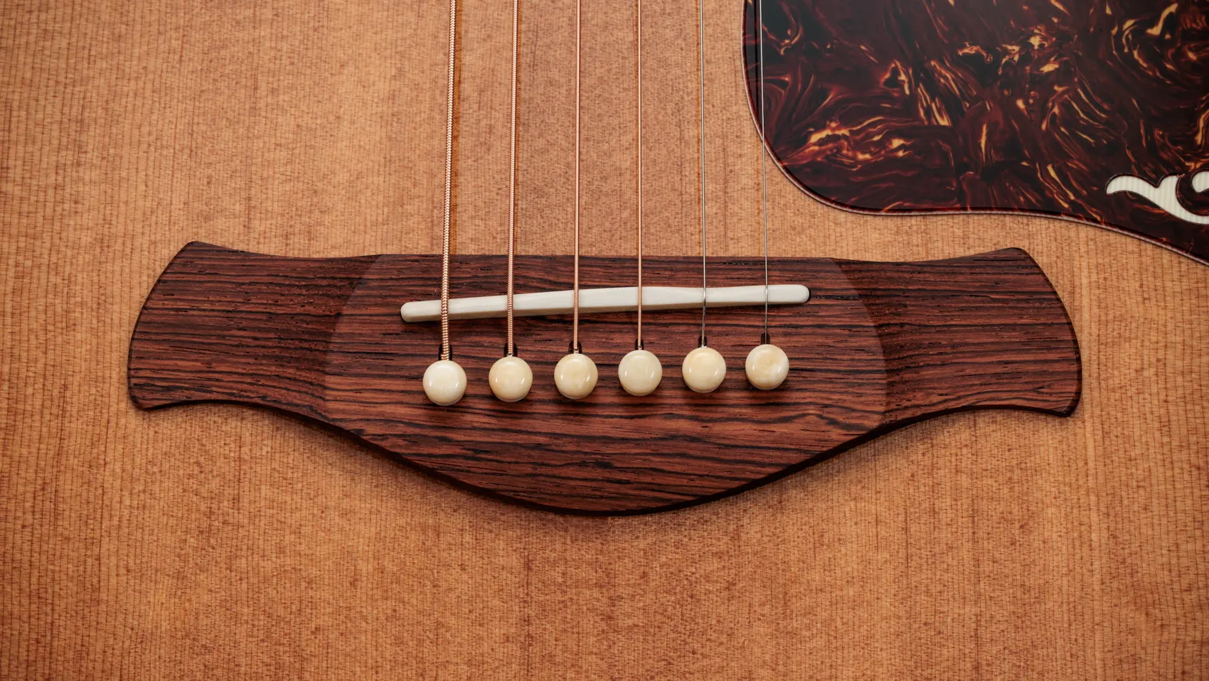 Gold Label 810e Honduran Rosewood Acoustic-Electric Guitar
