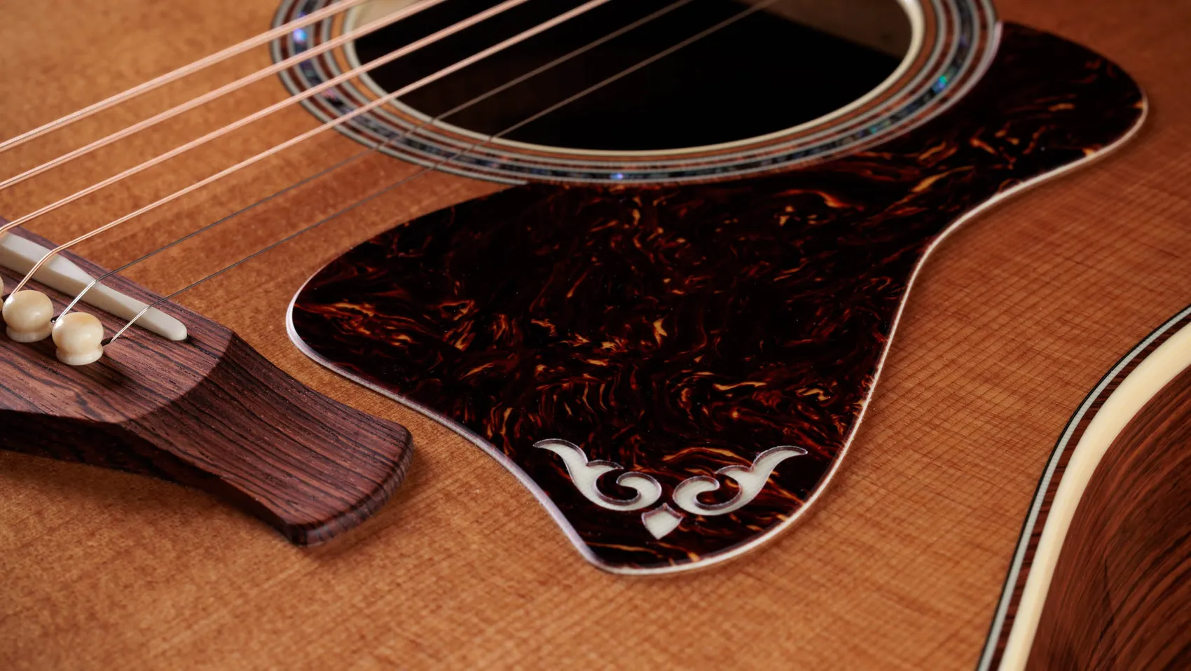 Gold Label 810e Honduran Rosewood Acoustic-Electric Guitar