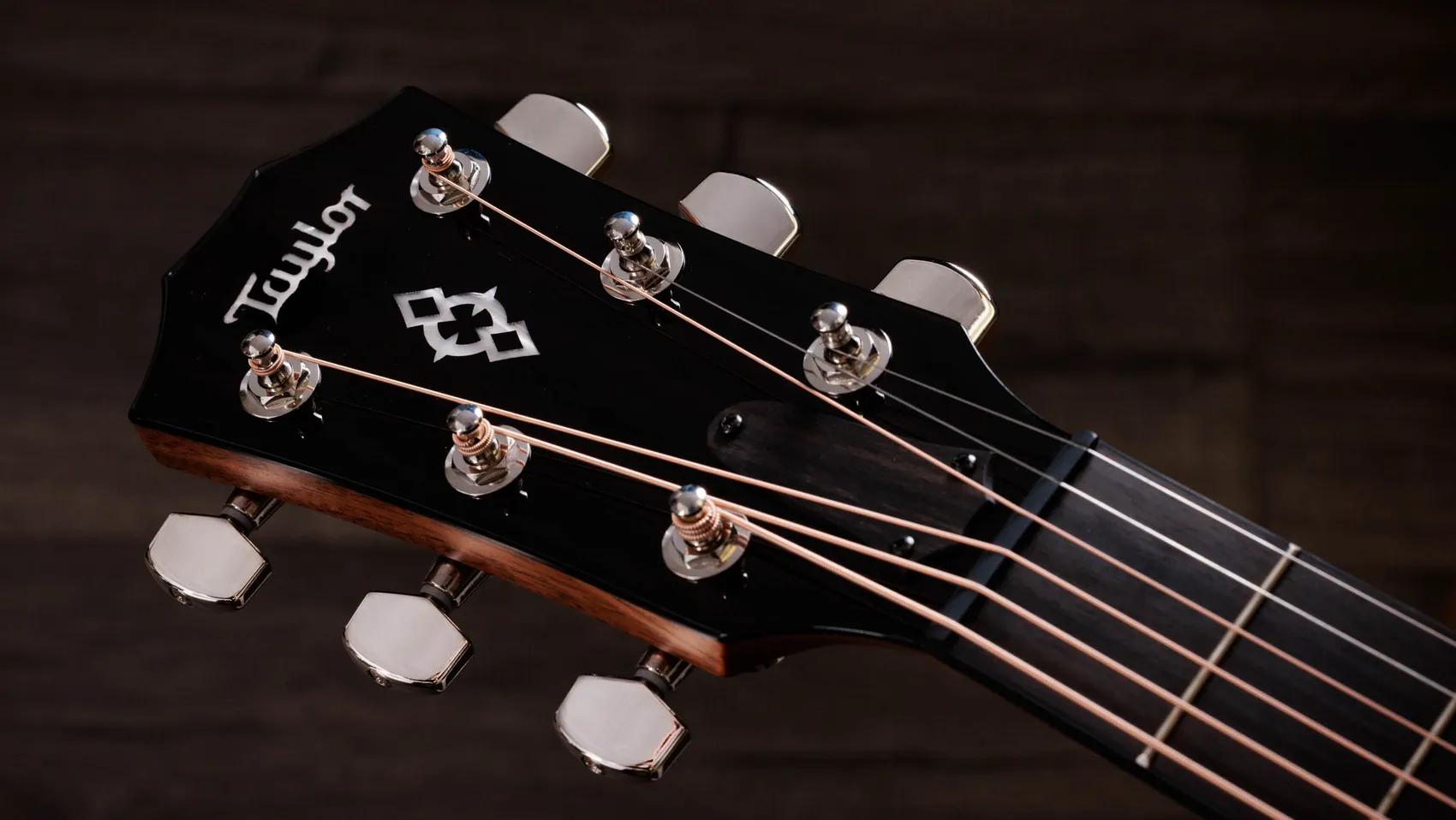 Next Generation 514ce Acoustic-Electric Guitar | Taylor Guitars