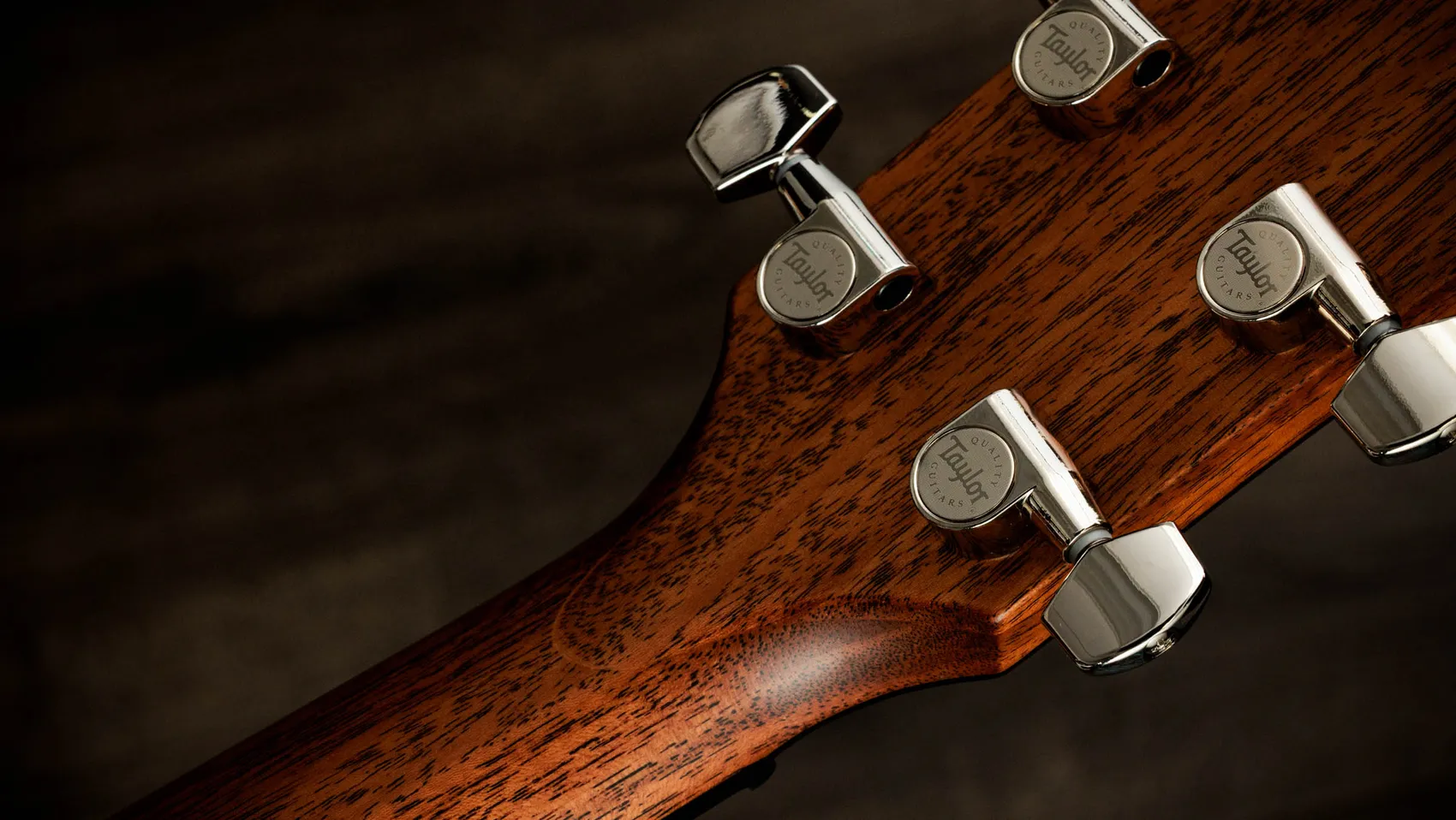 Next Generation 514ce Acoustic-Electric Guitar | Taylor Guitars