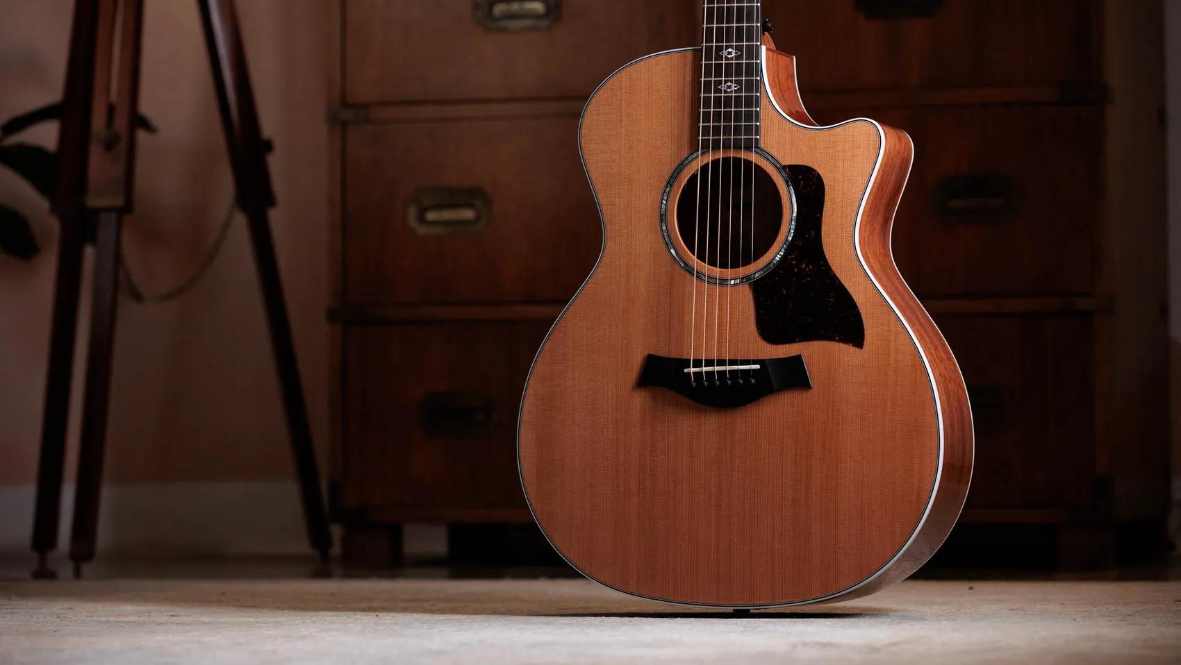 Next Generation 514ce Acoustic-Electric Guitar | Taylor Guitars