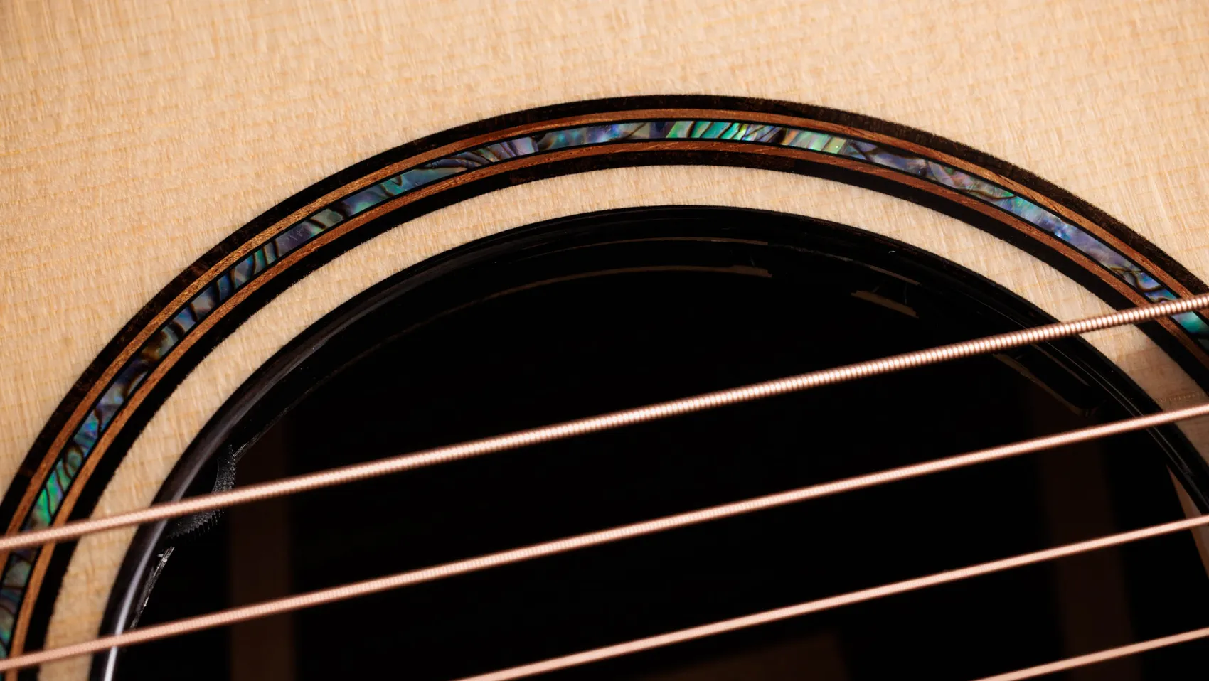 マイリトルテイラー/セミオーダー Next Generation Builder's Edition 914ce Indian Rosewood Acoustic