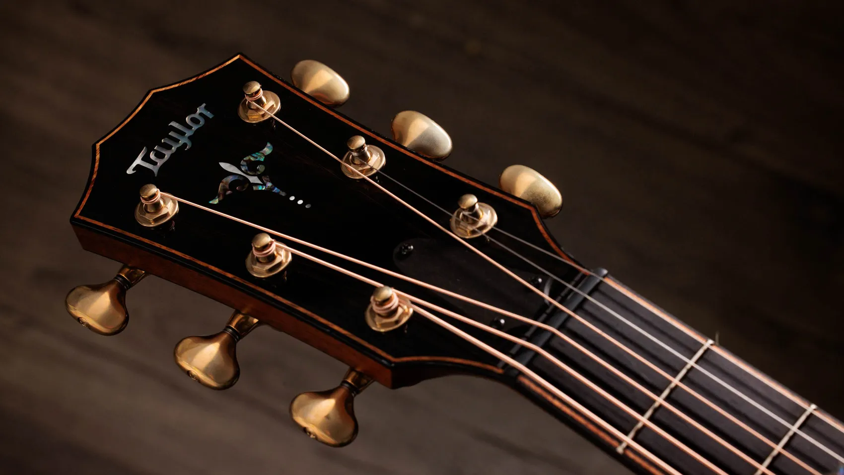 Next Generation Builder's Edition 914ce Indian Rosewood Acoustic