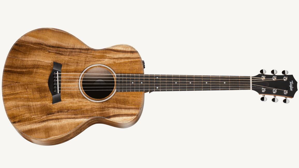 taylor gs mini 2014 fall limited