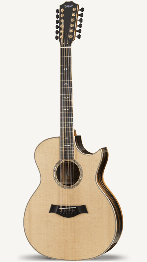 Custom 10362 12 String African Ebony Grand Auditorium Taylor Guitars
