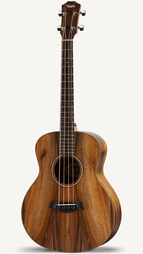 taylor mini bass