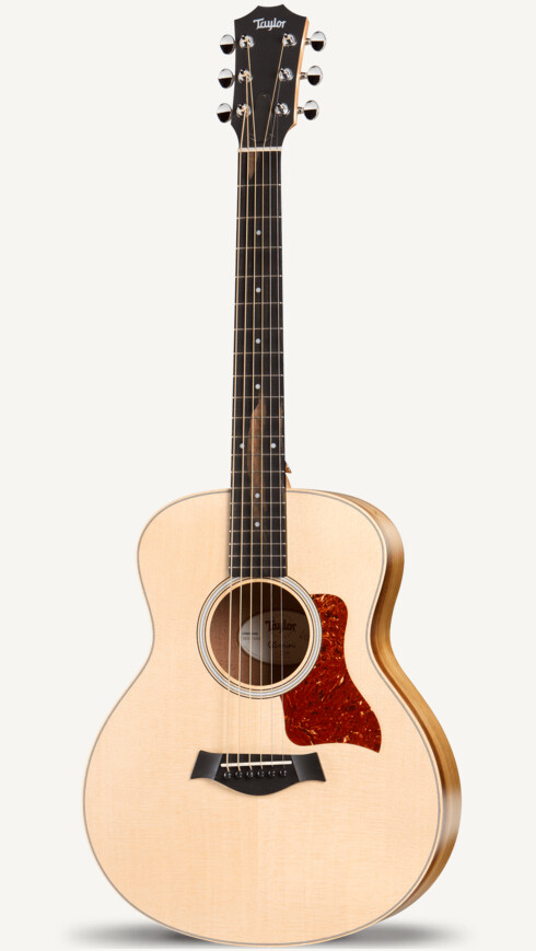 taylor gs mini models