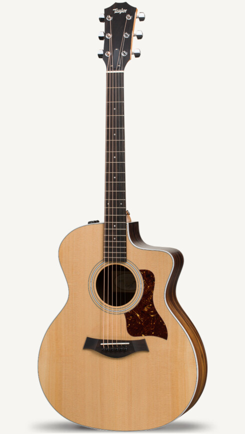 Cheapest taylor guitar Clearance