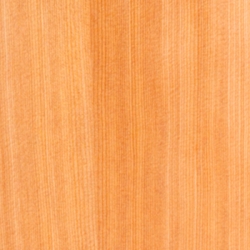 Torrefied Spruce