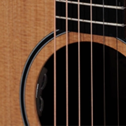 Fishman Sonitone GT2