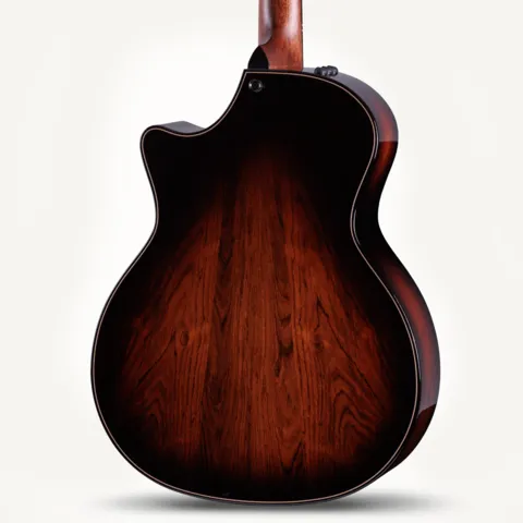 Builder's Edition 814ce Honduran Rosewood/Adirondack Spruce