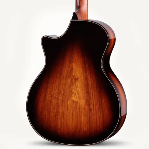 Next Generation Builder's Edition 814ce Honduran Rosewood/Adirondack Spruce