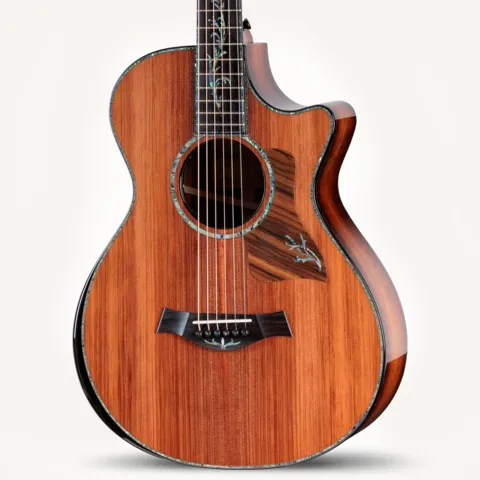 Next Generation PS12ce 12-Fret