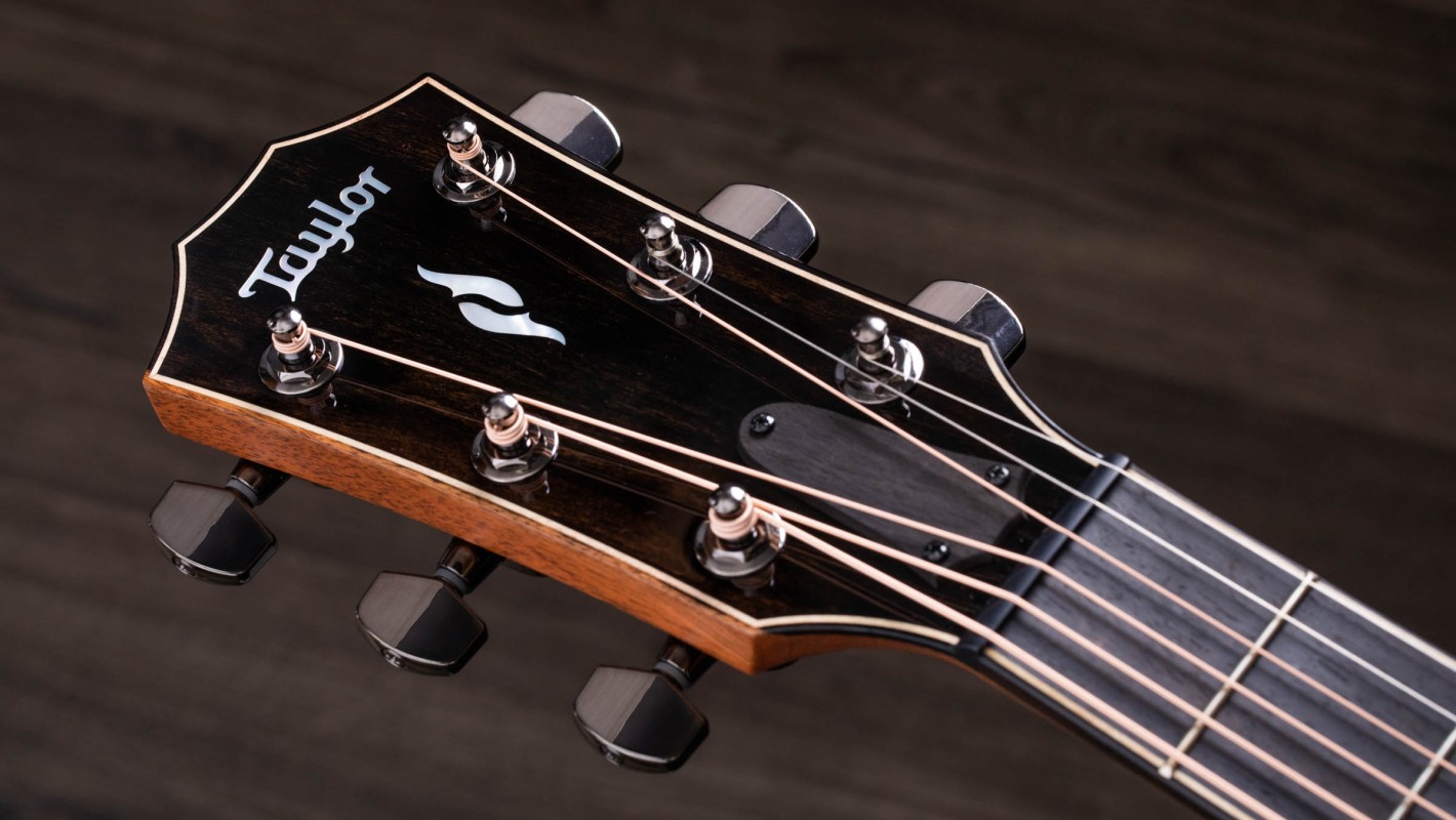 812e Indian Rosewood Acoustic-Electric Guitar | Taylor Guitars