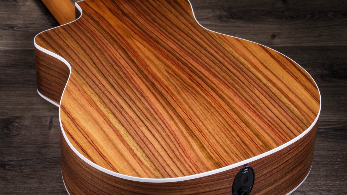 214ce Layered Rosewood Acoustic-Electric Guitar | Taylor Guitars