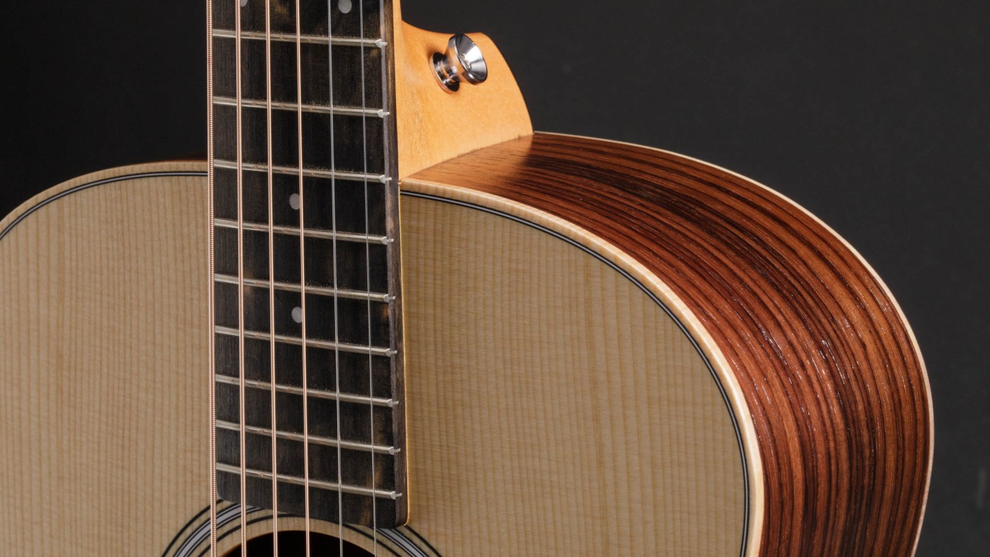 人気デザイナー Mini GS Taylor - Rosewood e アコースティックギター