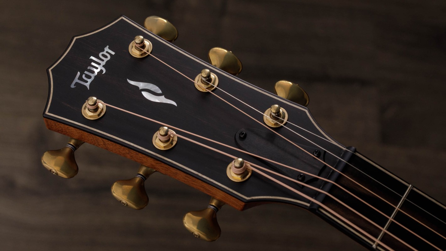 814ce Indian Rosewood Acoustic-Electric Guitar | Taylor Guitars