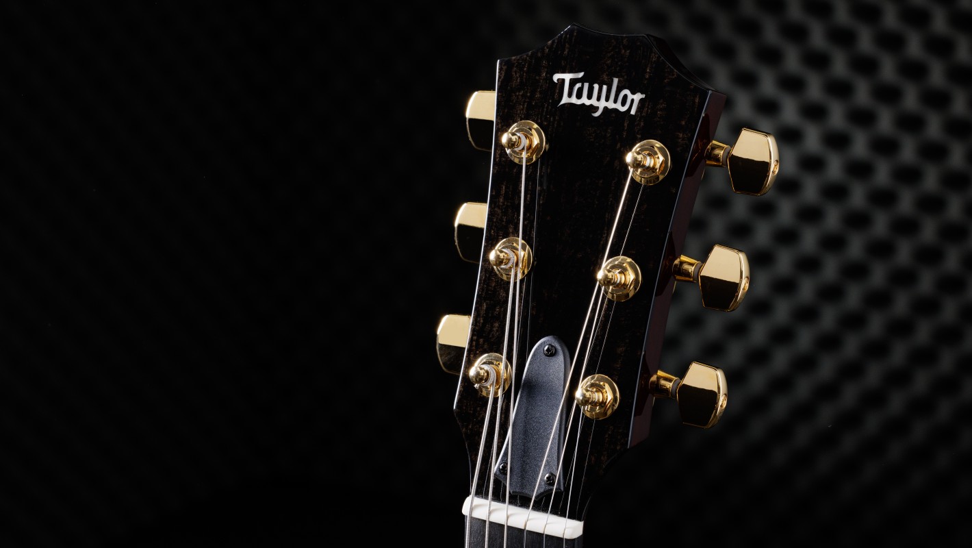 T5z Custom Koa Shamel Ash Acoustic Guitar | Taylor Guitars