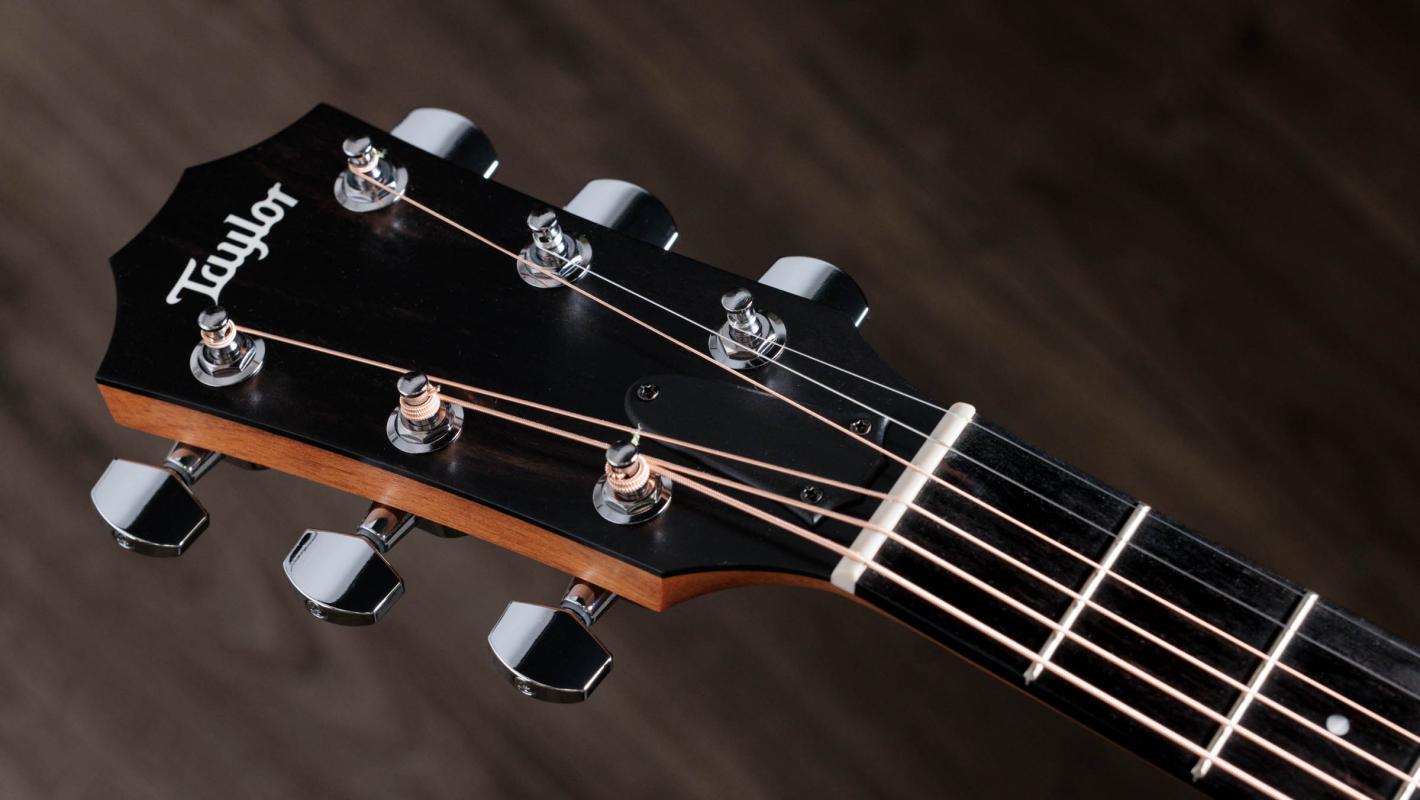 Taylor 210ce エレアコ 210ce Walnut Acoustic-Electric Guitar | Taylor Guitars