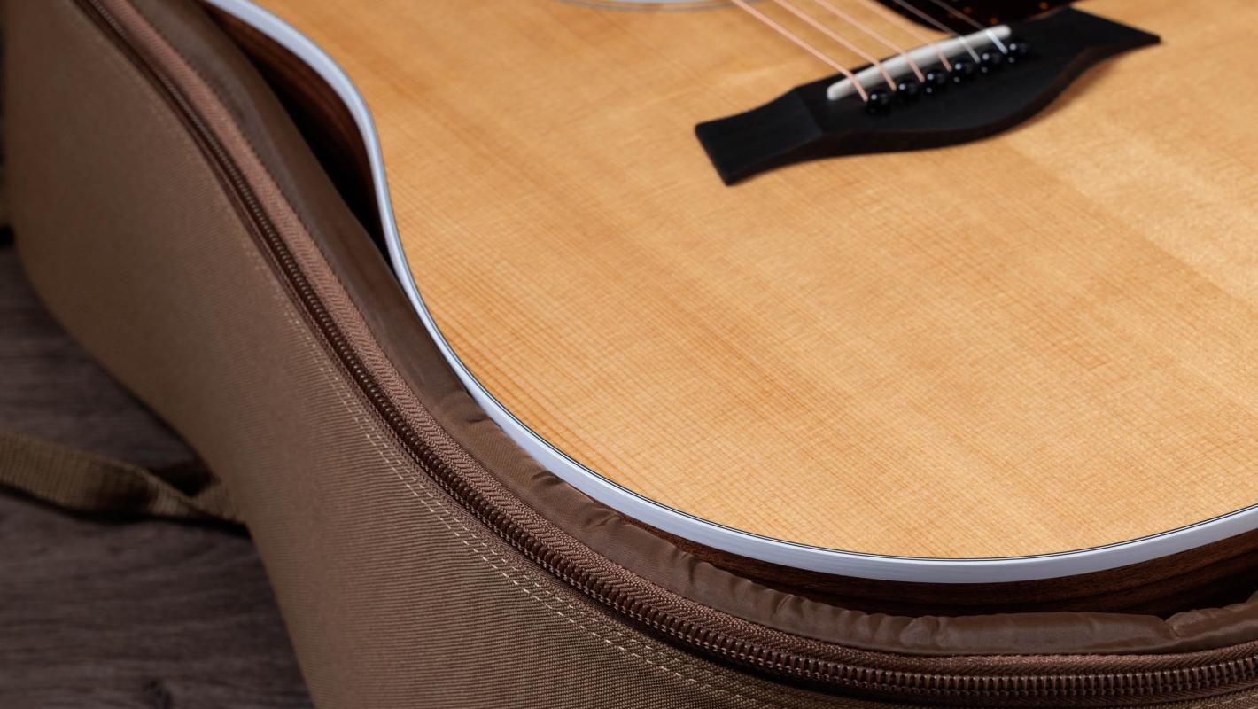 210ce Walnut Acoustic-Electric Guitar | Taylor Guitars