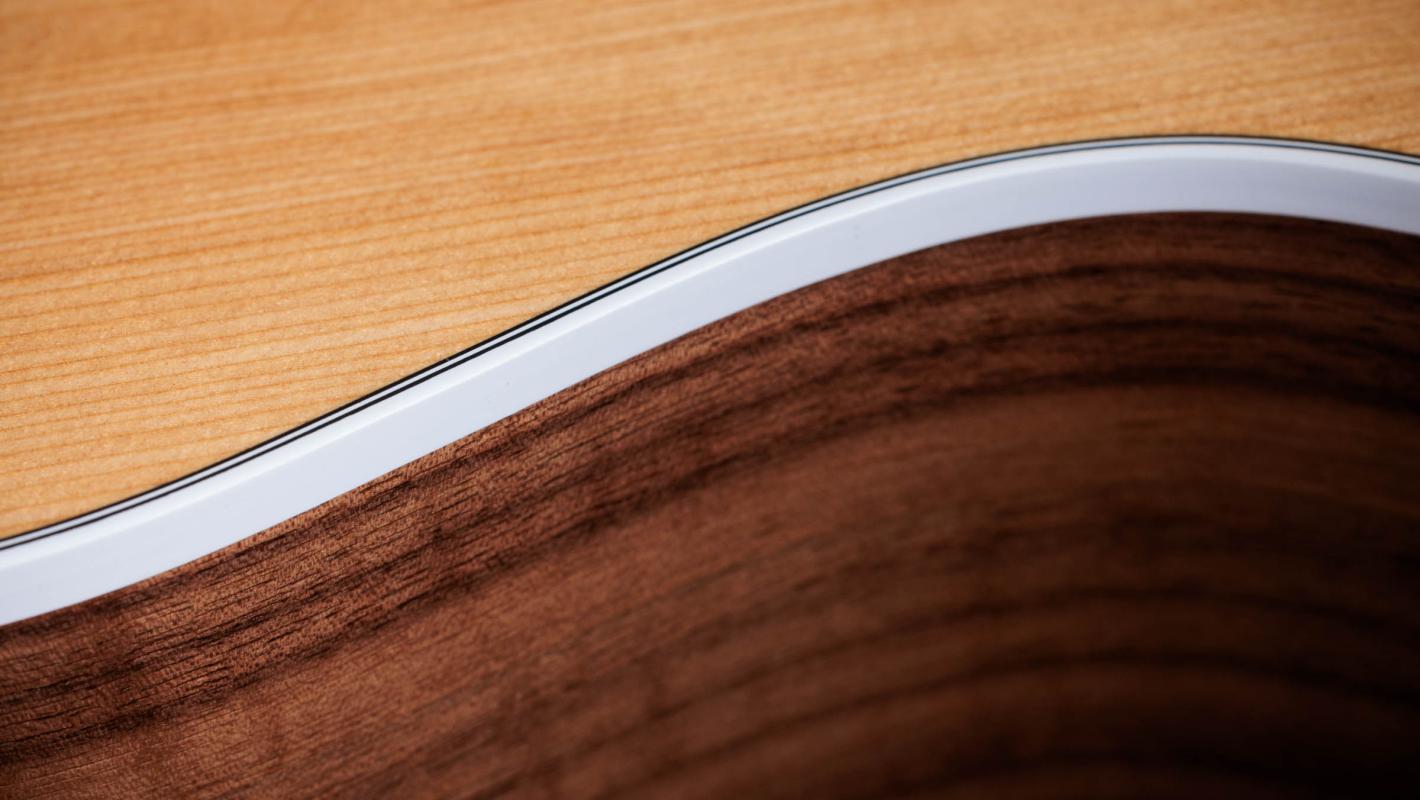 214ce Layered Walnut Acoustic-Electric Guitar | Taylor Guitars