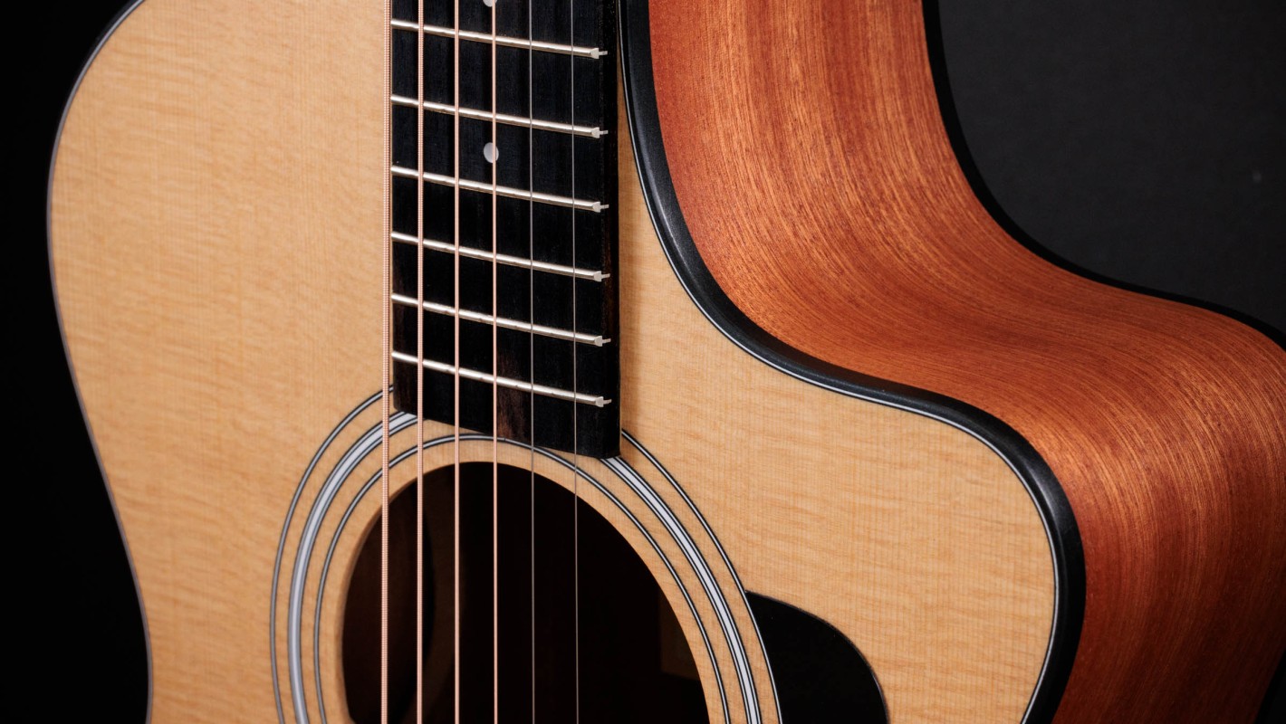 Taylor 112ce-S – Kenny's Music Shoppe