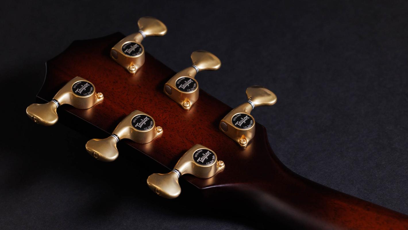 50th Anniversary Builder's Edition 314ce LTD Shamel Ash