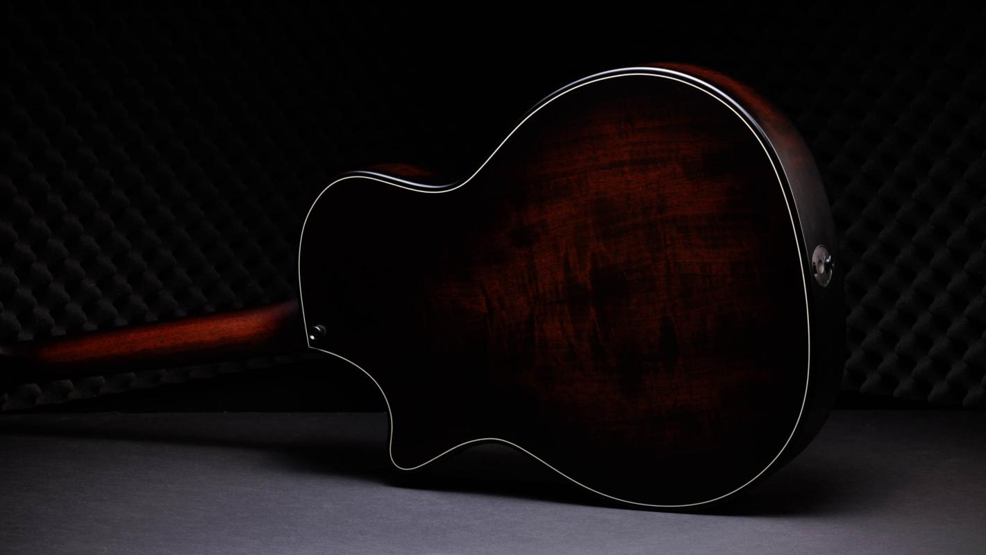 ギター Taylor 314ce LTD 50th Anniversary 314ce LTD Sapele Acoustic-Electric Guitar