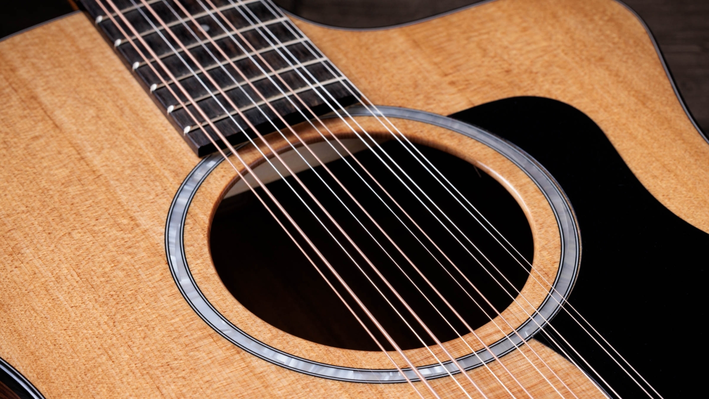 254ce Plus Indian Rosewood Acoustic-Electric Guitar | Taylor 254ce Plus Indian Rosewood Acoustic-Electric Guitar | Taylor
