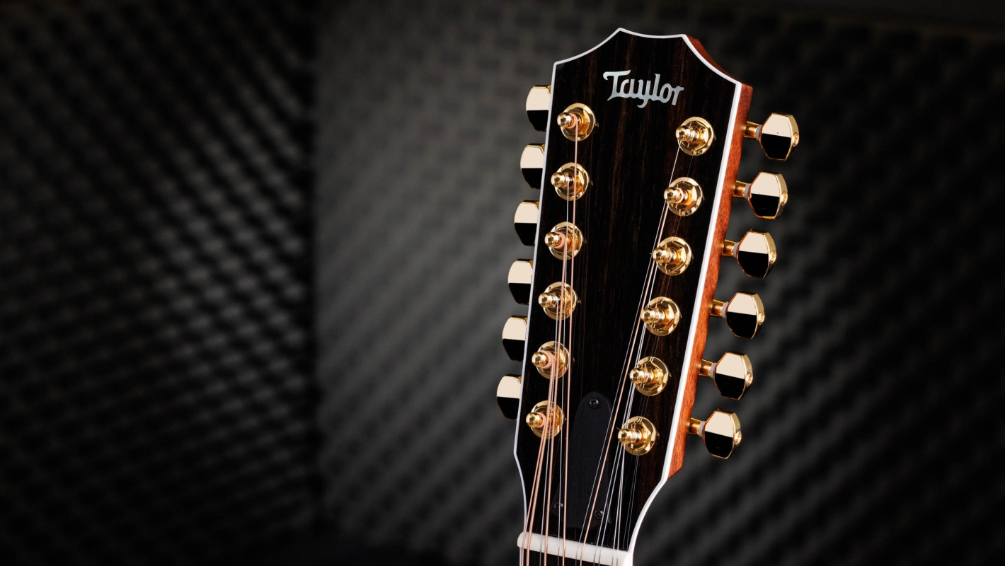 50th Anniversary 858e LTD Indian Rosewood Acoustic-Electric