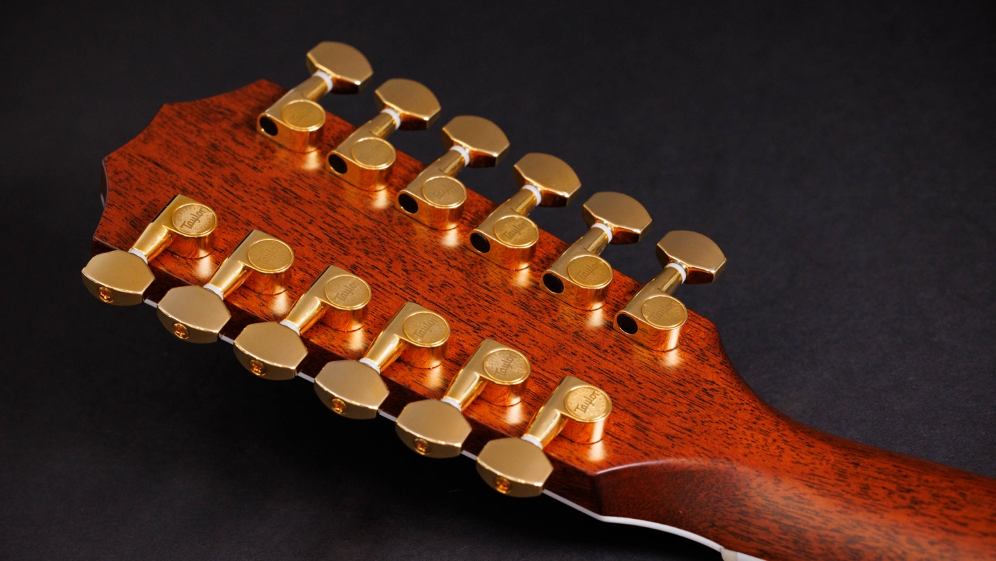 絶妙なデザイン Anniversary 50th 858e Acoustic-Electric Rosewood Indian LTD 邦楽
