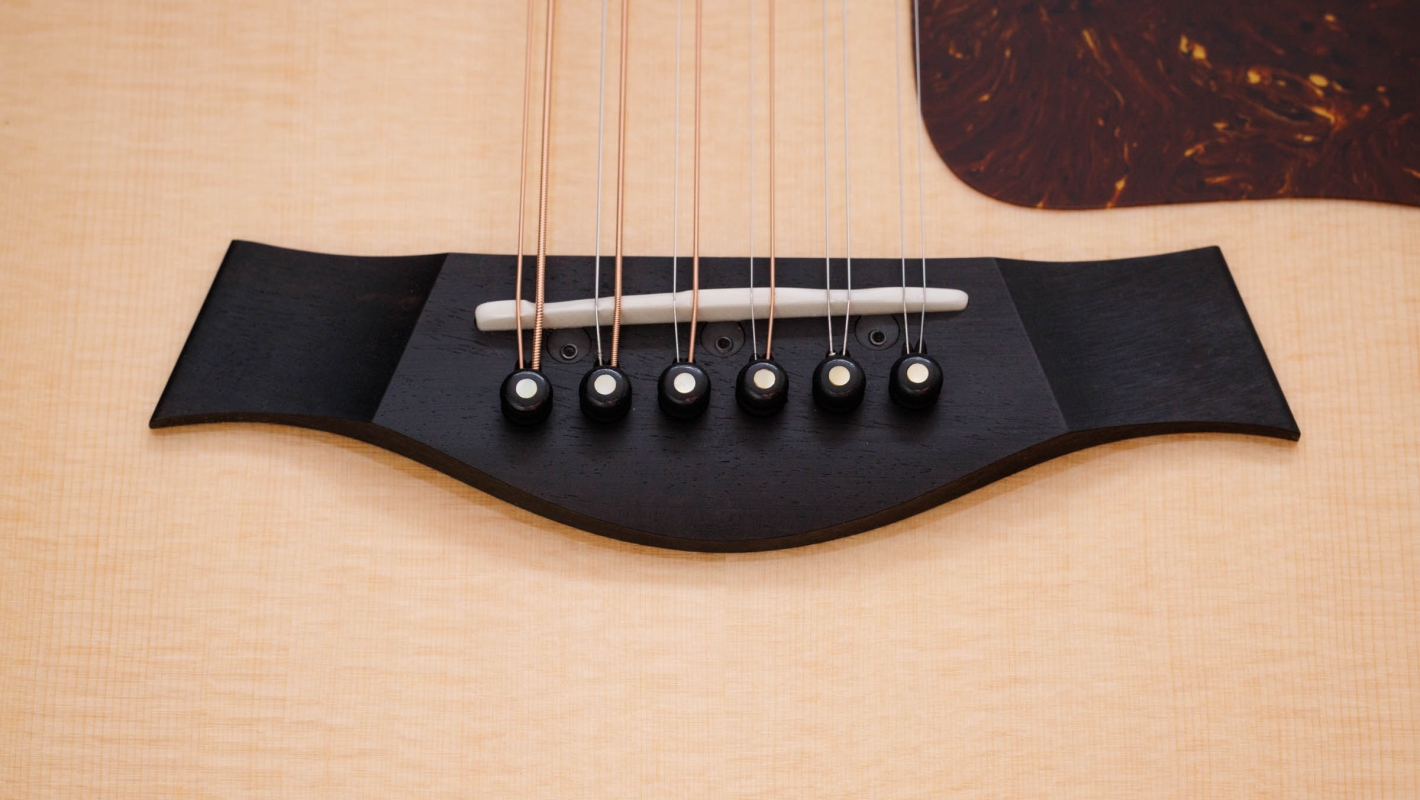 50th Anniversary 858e LTD Indian Rosewood Acoustic-Electric