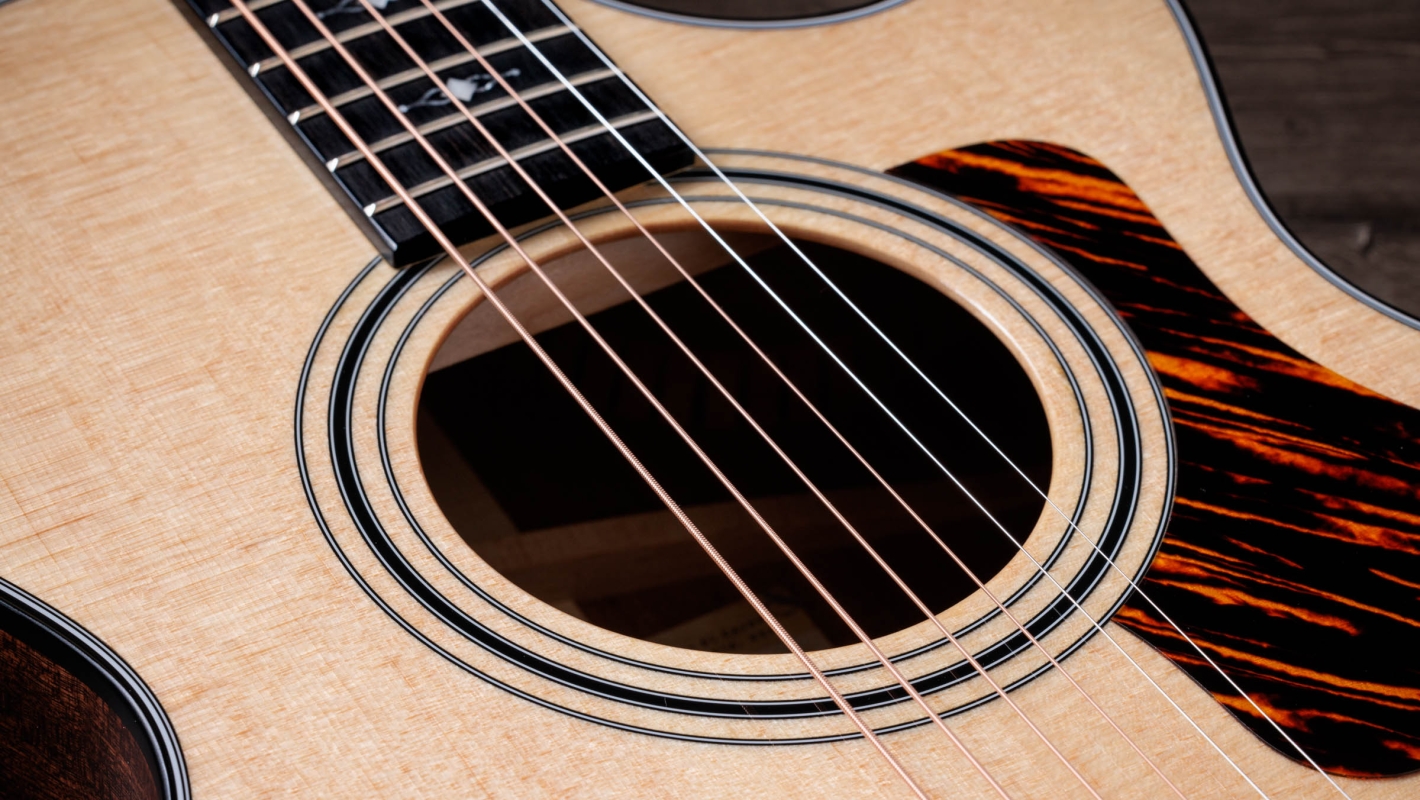 312ce 12-Fret Sapele Acoustic-Electric Guitar | Taylor Guitars