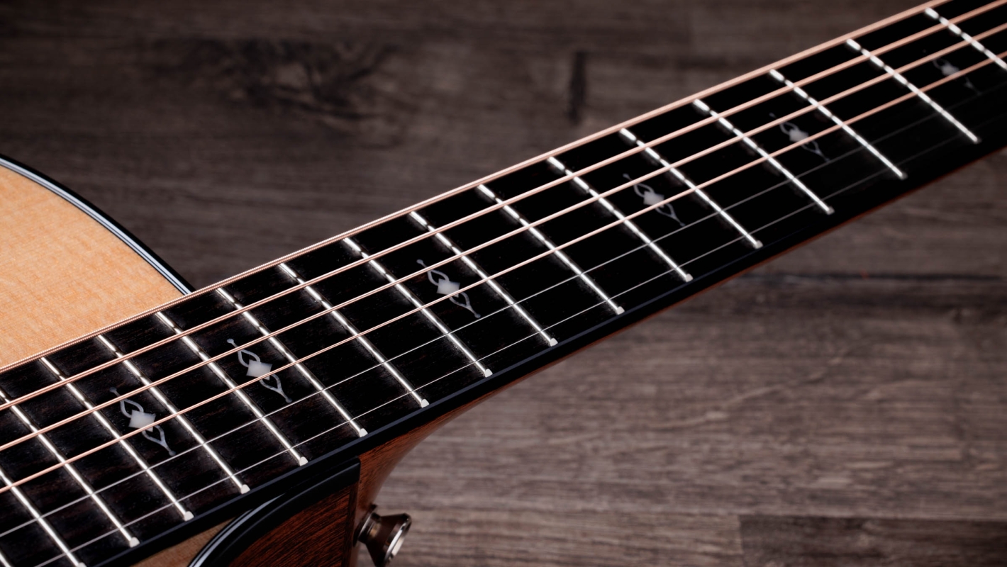312ce Sapele Acoustic-Electric Guitar | Taylor Guitars