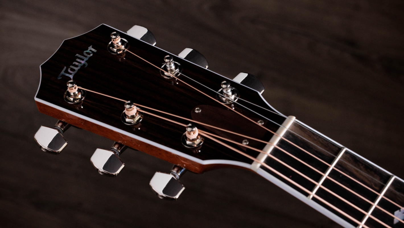 Legacy 810e Indian Rosewood Acoustic Guitar | Taylor Guitars
