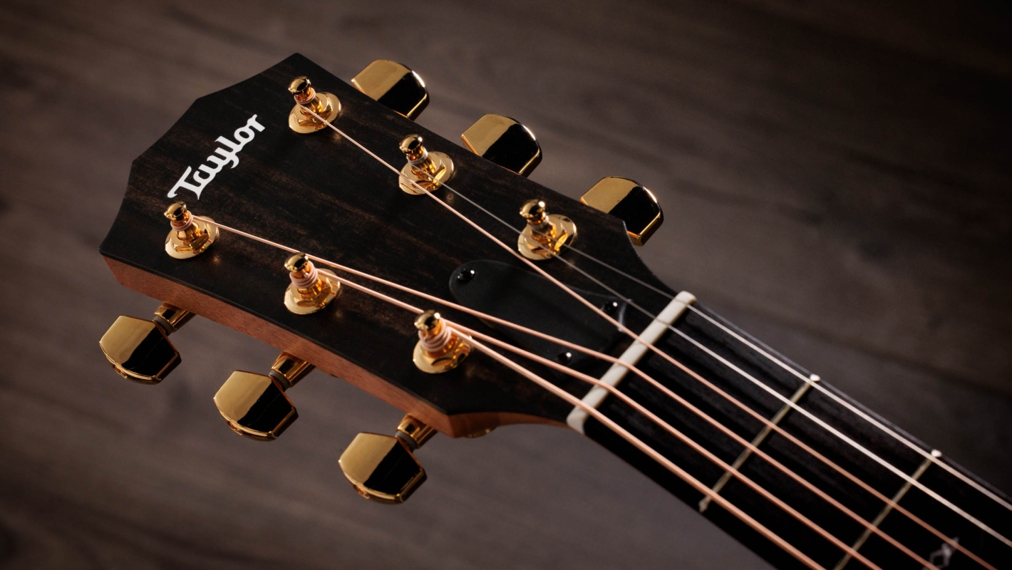 Taylor214ceDLX 2022年製　ギタースタンド付 Taylor214ceDLX 2022年製ギタースタンド付
