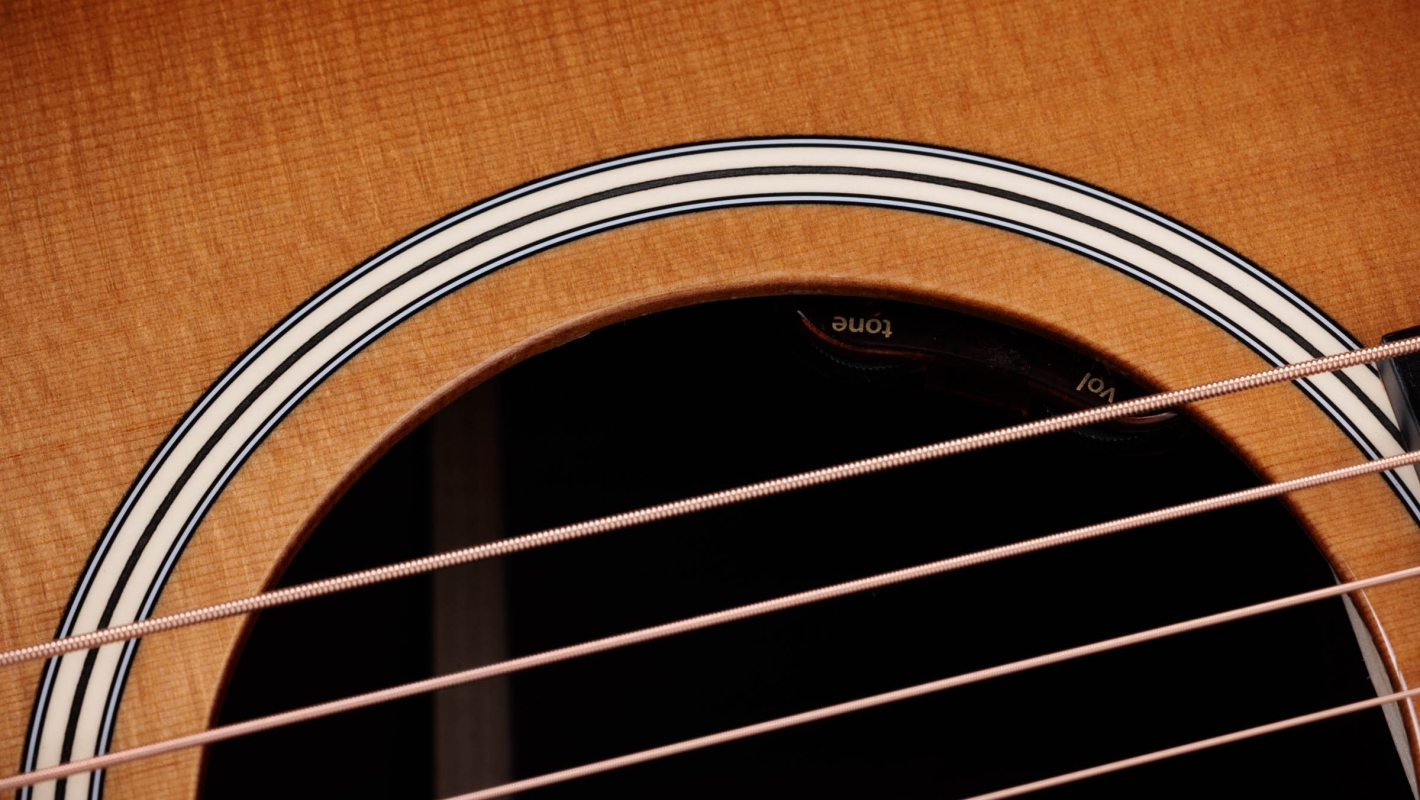 Gold Label 717e SB Indian Rosewood Acoustic-Electric Guitar