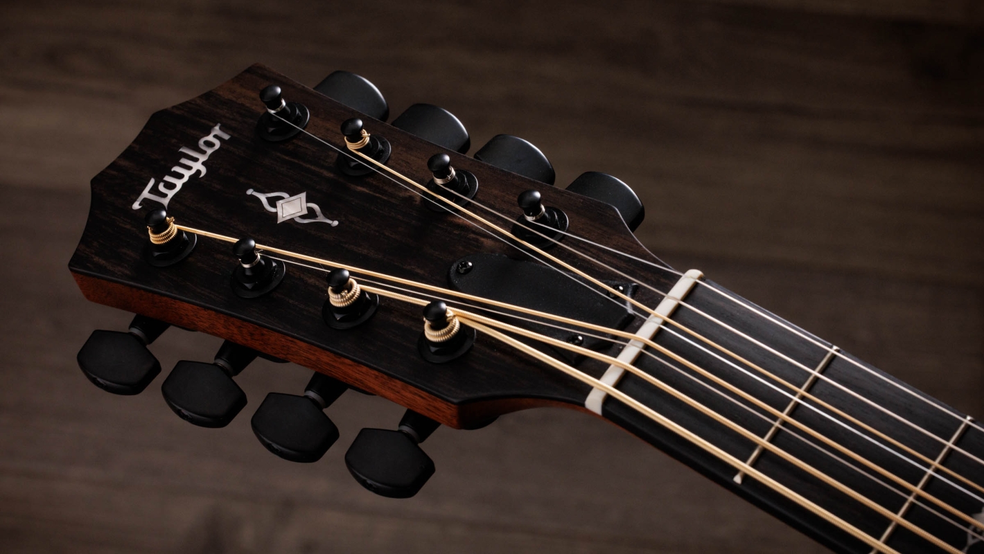 ギター TY BLACKEND