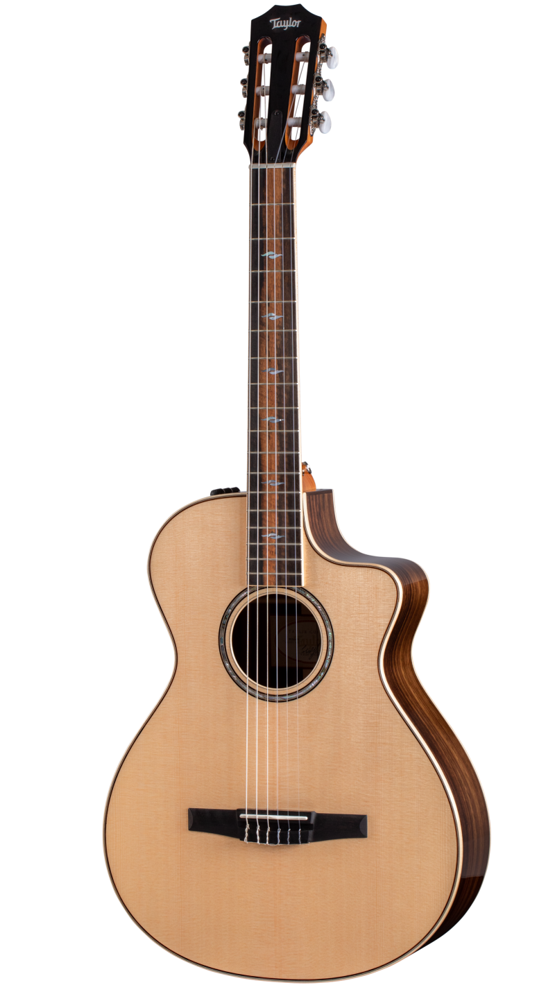 テイラー 812ce アコースティックギター エレアコ 812ce-N Indian Rosewood Acoustic-Electric Guitar | Taylor