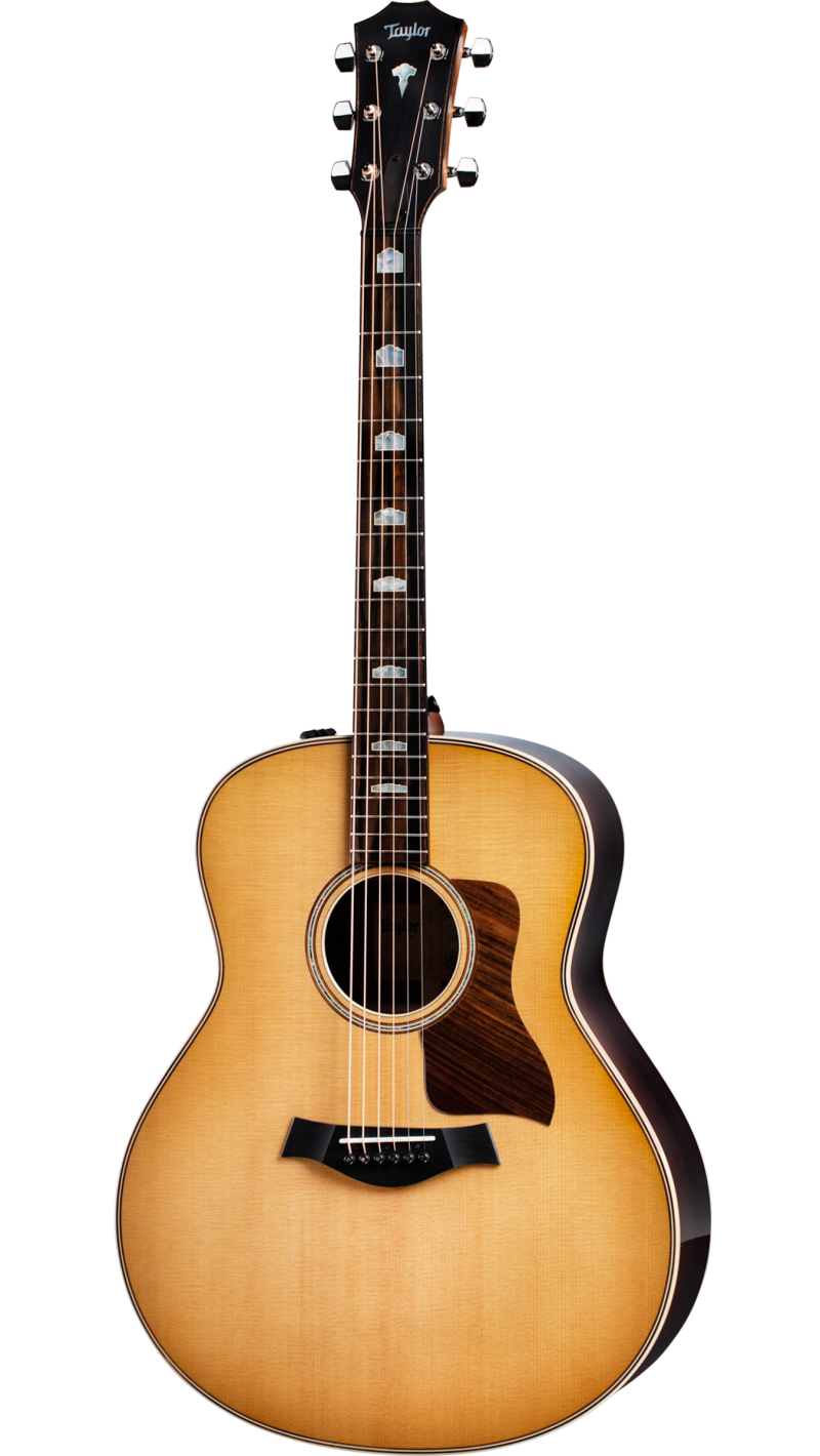 818e Indian Rosewood Acoustic-Electric Guitar | Taylor Guitars 818e Indian Rosewood Acoustic-Electric Guitar | Taylor Guitars