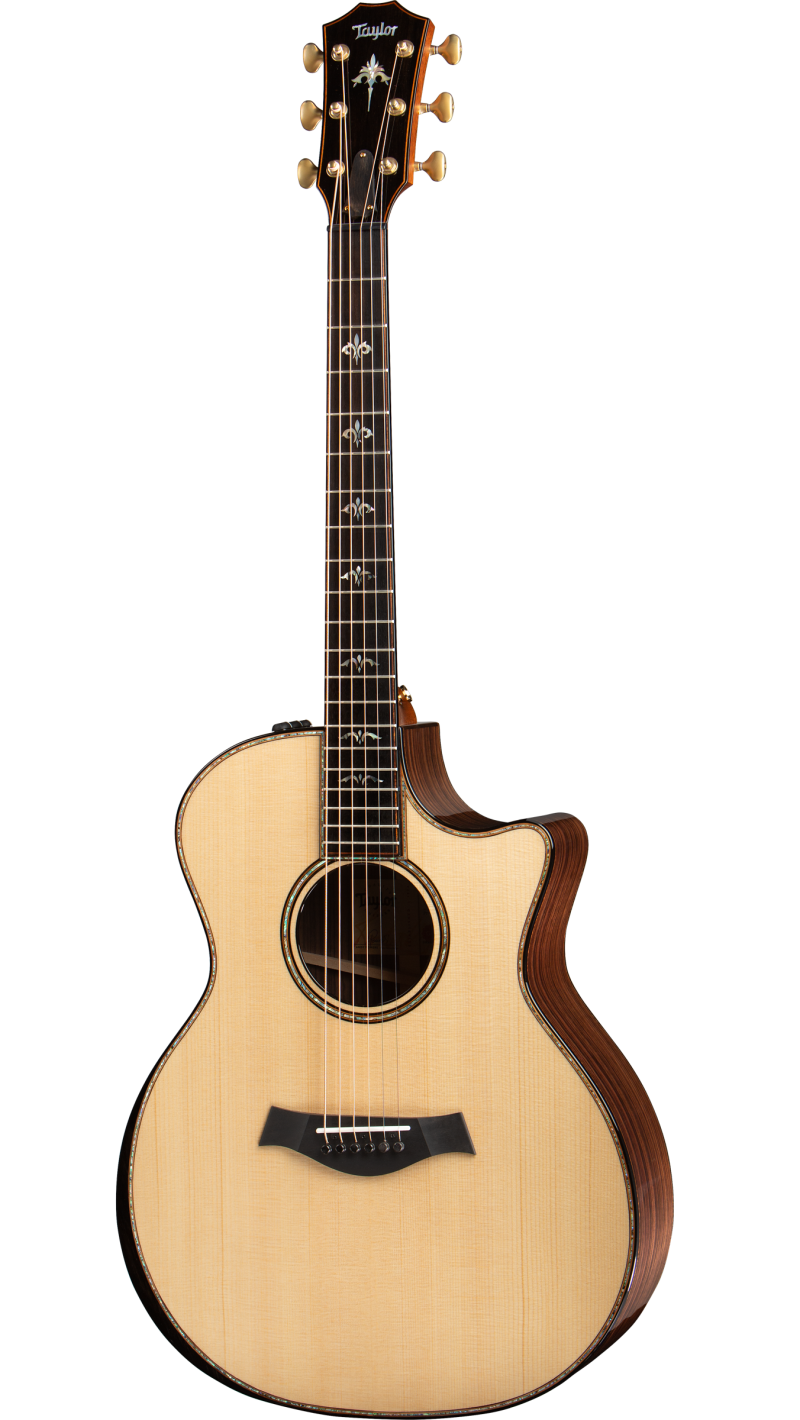 新品?正規品 Taylor 914 CE L30(なな) ギター - koteng.no 新品?正規品 Taylor 914 CE L30(なな) ギター - koteng.no