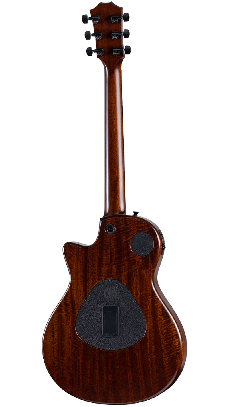 sassafras taylor guitar